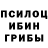 Галлюциногенные грибы прущие грибы Tilek Dzhakipov