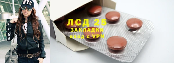 гашик Алексин