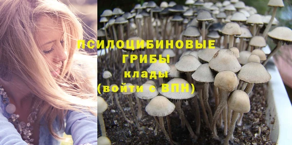 ПСИЛОЦИБИНОВЫЕ ГРИБЫ Алексеевка