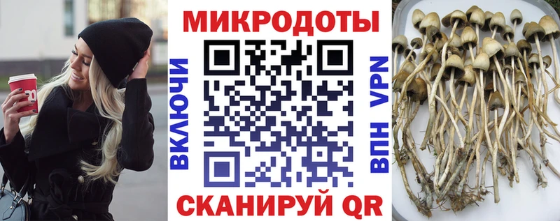 Псилоцибиновые грибы Cubensis  Среднеколымск 